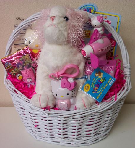 Webkinz and Hello Kitty Gift Basket
