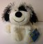 Webkinz Black and White Cheeky Dog