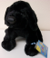 Webkinz Black Lab