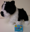 Webkinz Boston Terrier