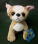 Webkinz Chihuahua