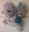 Webkinz Grey Squirrel