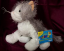 Webkinz Grey and White Cat