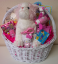 Webkinz and Hello Kitty Gift Basket