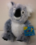 Webkinz Koala