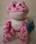 Webkinz Love Frog
