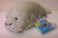 Webkinz Manatee